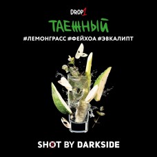 Табак Darkside Shot Таежный Трип - 30 грамм